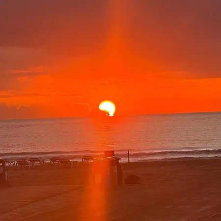 “rubens” 库列拉