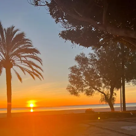 “rubens” Cullera